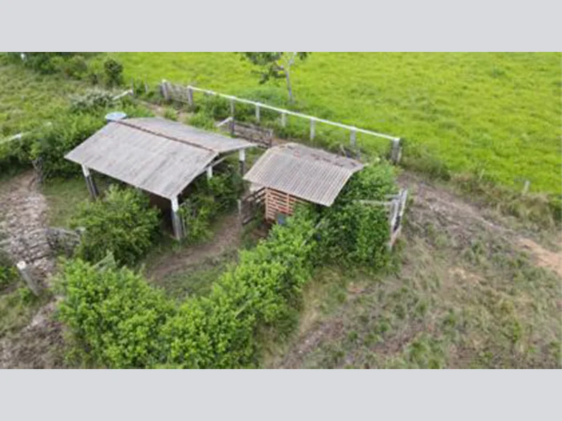 Gleba - Rondon do Pará - PA — foto 4