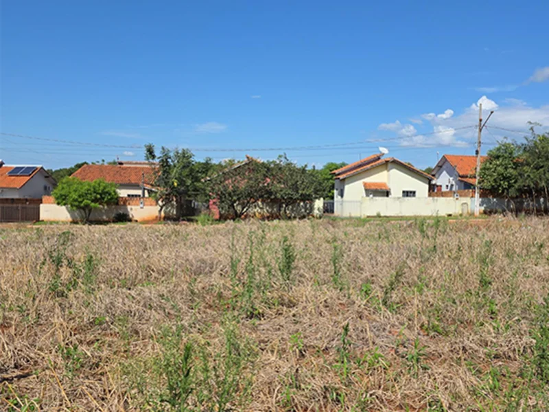 Terreno - Rio Branco - MT — foto 3