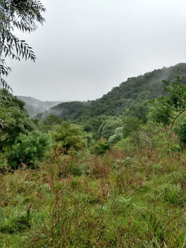 Lote 001 Fração de Terras de Culturas com a Área Superficial de 70,0679 Ha, Situado em Pantaninho – — foto 2