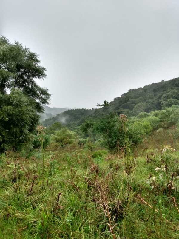 Lote 001 Fração de Terras de Culturas com a Área Superficial de 70,0679 Ha, Situado em Pantaninho – — foto 3