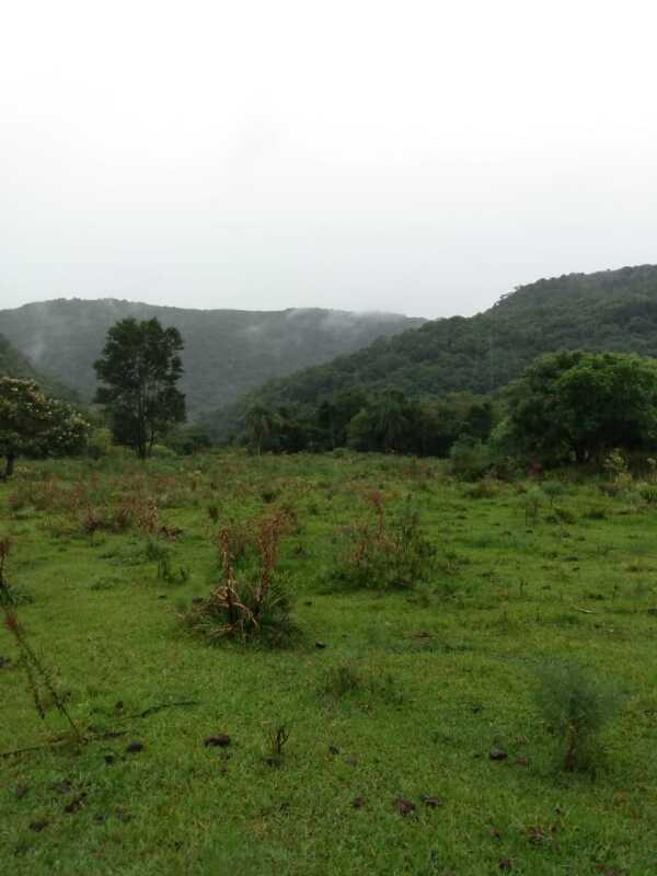 Lote 001 Fração de Terras de Culturas com a Área Superficial de 70,0679 Ha, Situado em Pantaninho – — foto 4