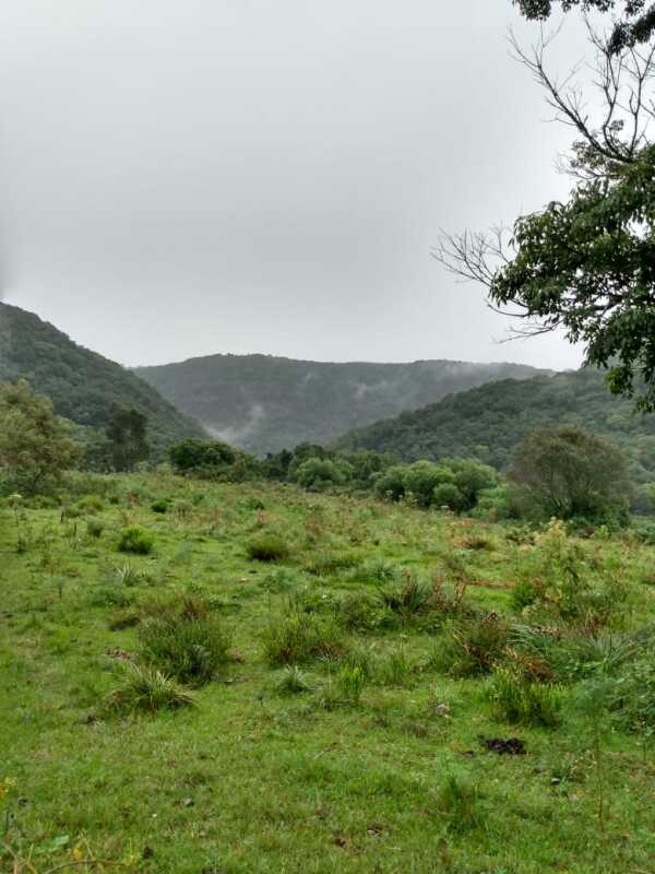 Lote 001 Fração de Terras de Culturas com a Área Superficial de 70,0679 Ha, Situado em Pantaninho – — foto 5