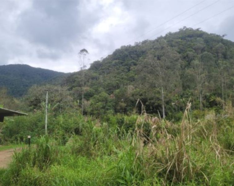 IMÓVEL RURAL INDAIAL/Encano Alto/134.997,00 m² — foto 2
