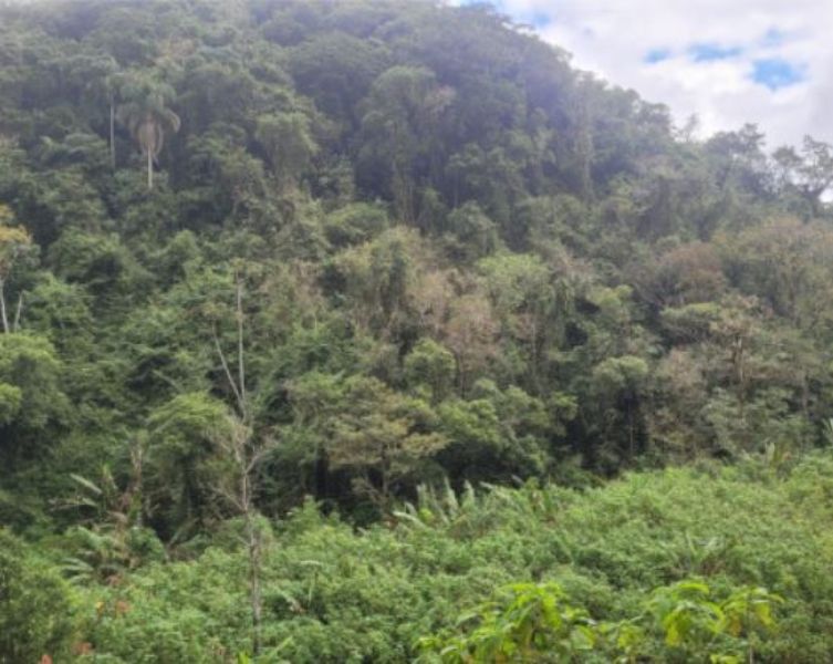 IMÓVEL RURAL INDAIAL/Encano Alto/134.997,00 m² — foto 3