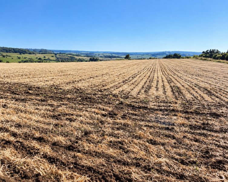 Parte ideal área rural com 92.998,00m² — foto 2