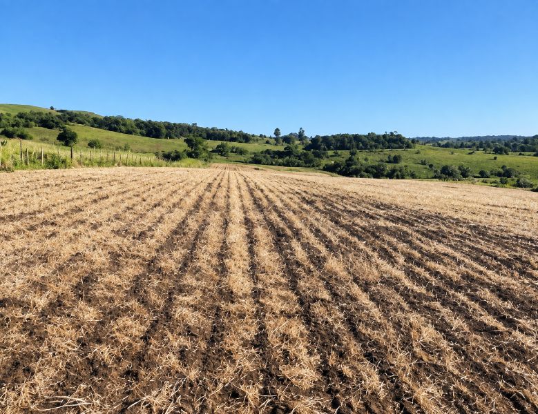 Parte ideal área rural com 92.998,00m² — foto 4