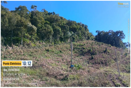 Área Rural C / 15 Ha - Leoberto Leal / Sc — foto 2