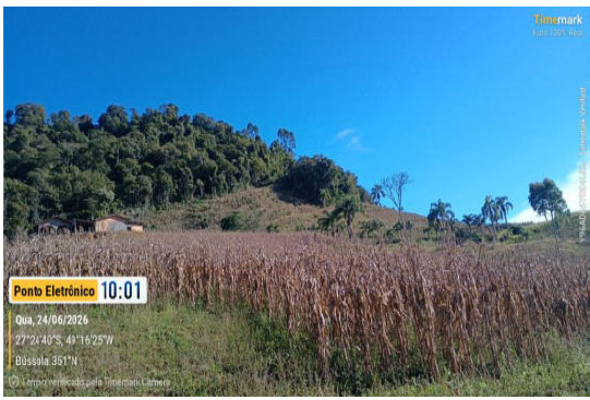 Área Rural C / 15 Ha - Leoberto Leal / Sc — foto 4