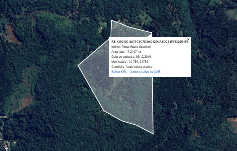 Lote 001 Fração de Terras, com a Área Superficial de 86.247,5625 M², Situada no Lugar Denominado "Li — foto 4