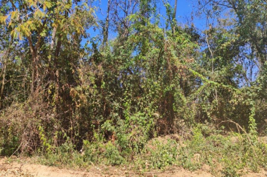 Patrocínio/MG - Imóvel Rural com 4,73ha Leilão Sicoob