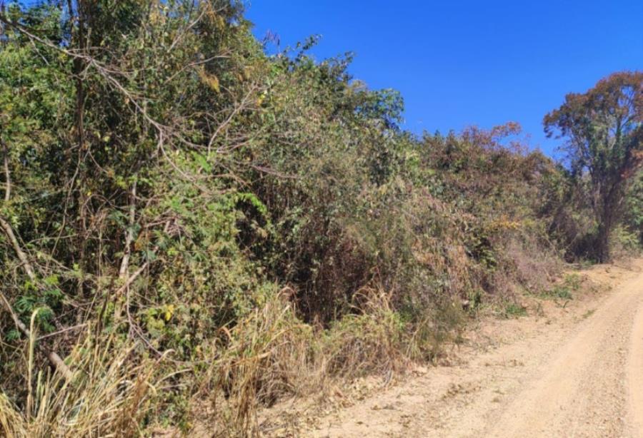 Patrocínio/MG - Imóvel Rural com 4,73ha Leilão Sicoob — foto 2