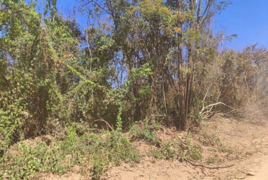 Patrocínio/MG - Imóvel Rural com 4,73ha Leilão Sicoob — foto 3