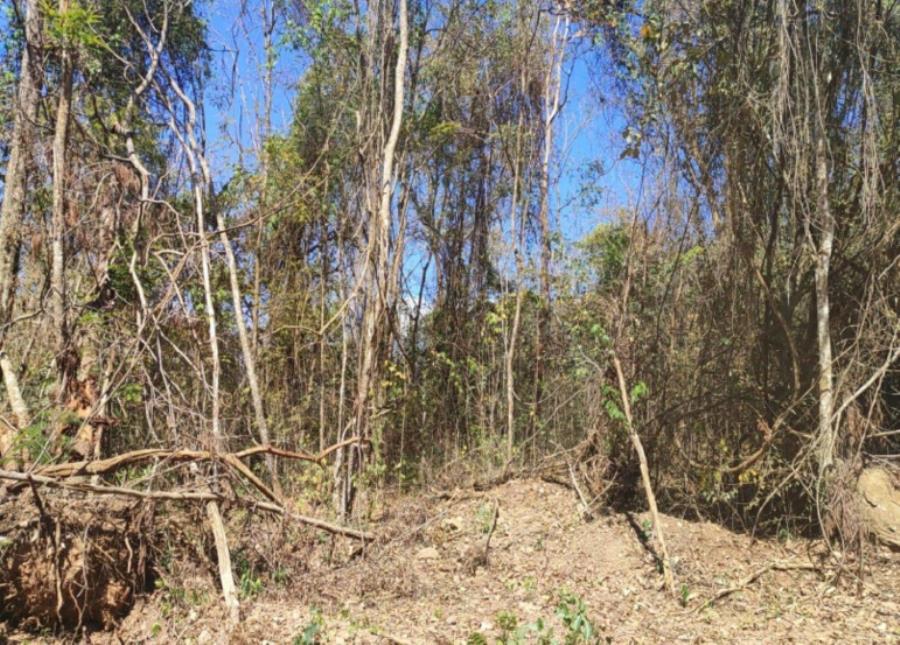 Patrocínio/MG - Imóvel Rural com 4,73ha Leilão Sicoob — foto 4