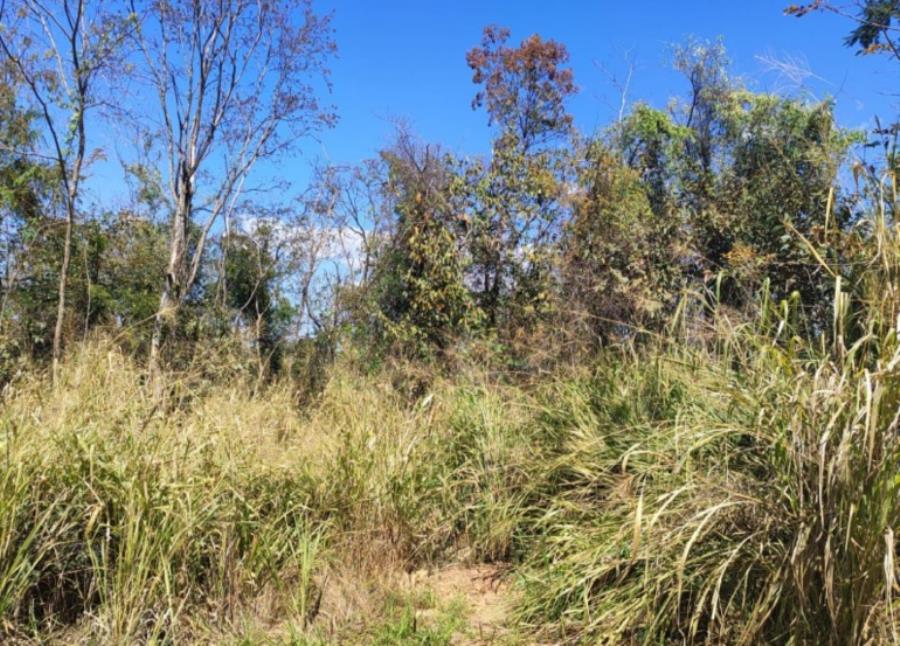 Patrocínio/MG - Imóvel Rural com 4,73ha Leilão Sicoob — foto 5