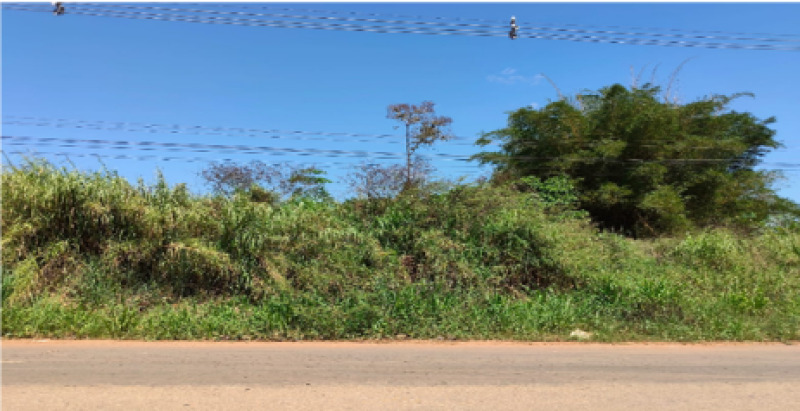 Lote 001 Leilão de Imóveis Sicoob Credisul - Imóvel Urbano Lote - Área Total 1.200,14 M2 — foto 4