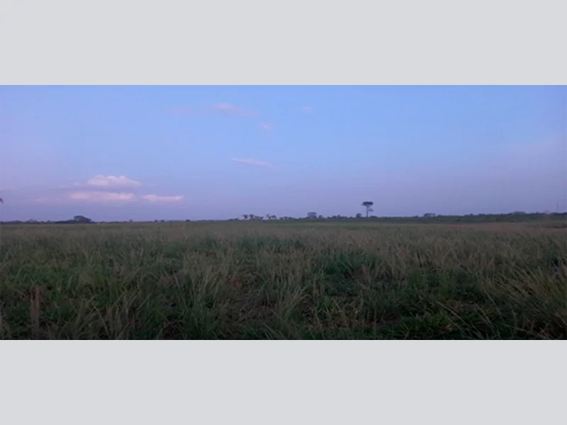 Terreno - Itupiranga - PA — foto 3