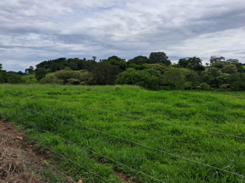 LOTE 002-2 Terreno rural com ou sem benfeitorias