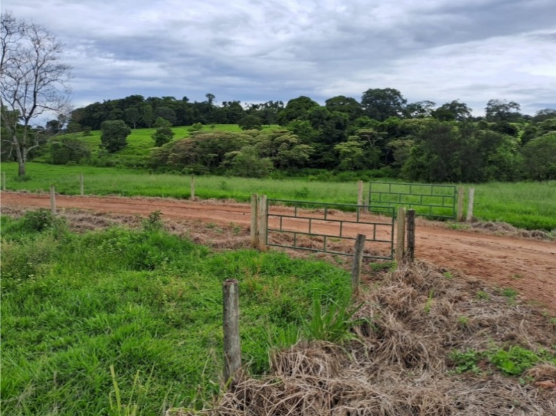 LOTE 002-2 Terreno rural com ou sem benfeitorias — foto 2