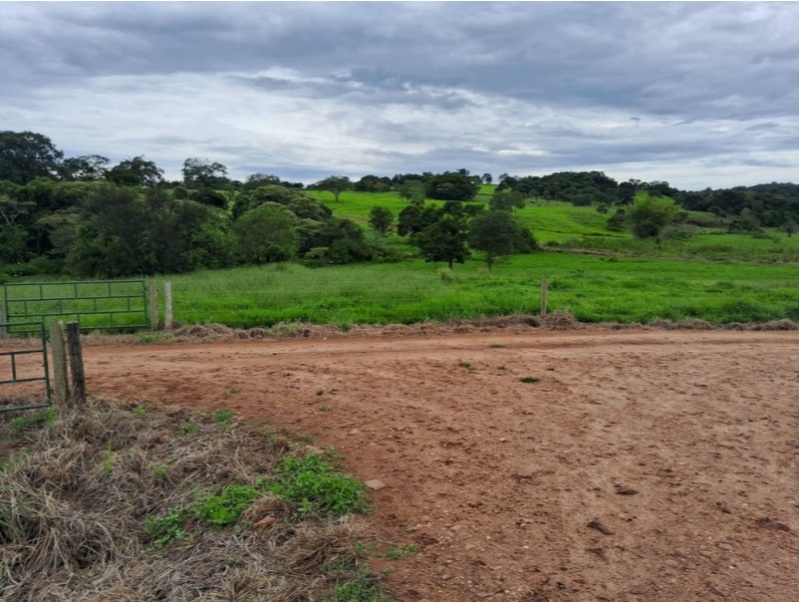 LOTE 002-2 Terreno rural com ou sem benfeitorias — foto 3