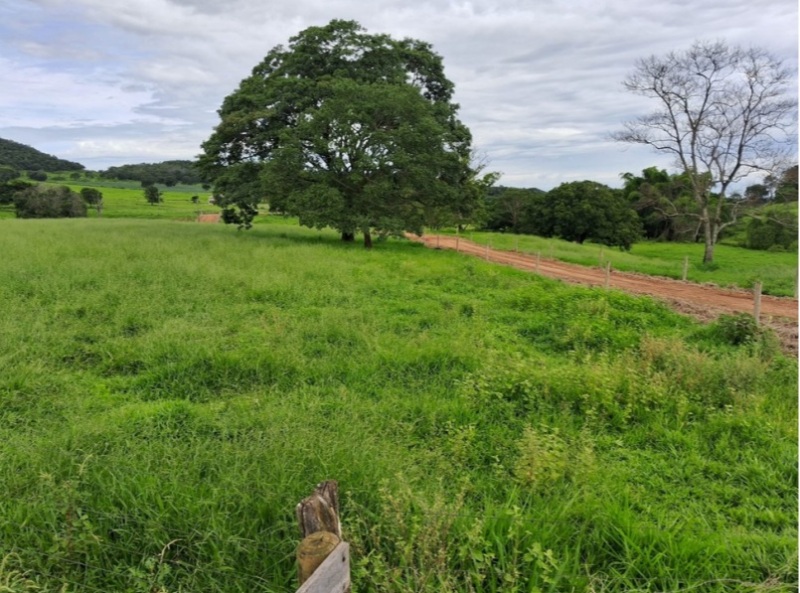 LOTE 002-2 Terreno rural com ou sem benfeitorias — foto 4
