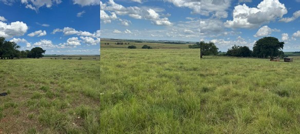 Área Rural C/ 10 Hec - Santo Antônio Das Missões / Rs — foto 2