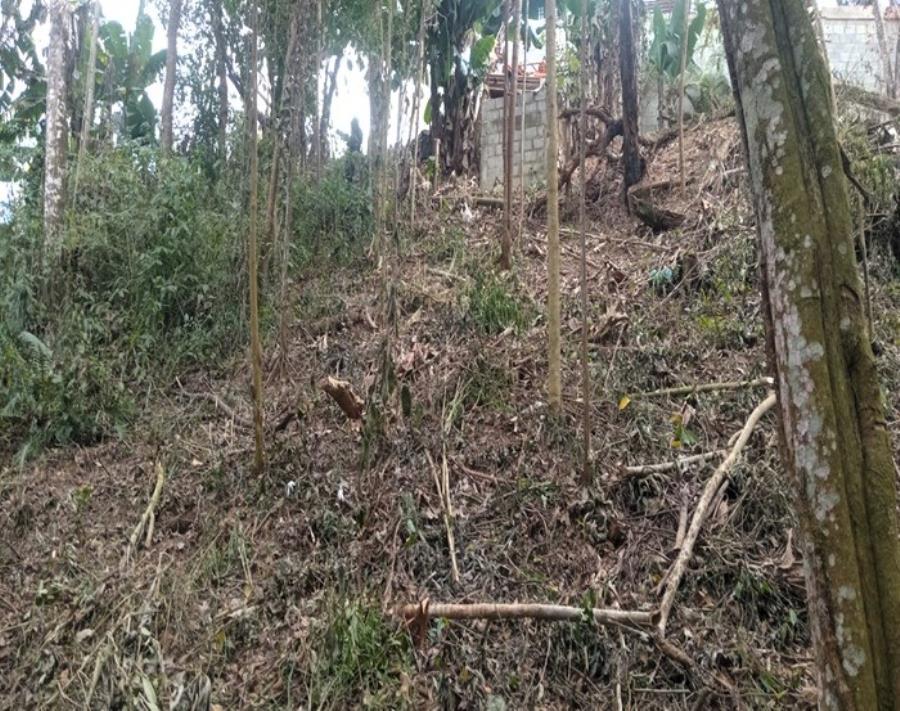 Terreno - Pq. da Represa - Mairiporã - SP Terreno com 320 m² - E470 — foto 2
