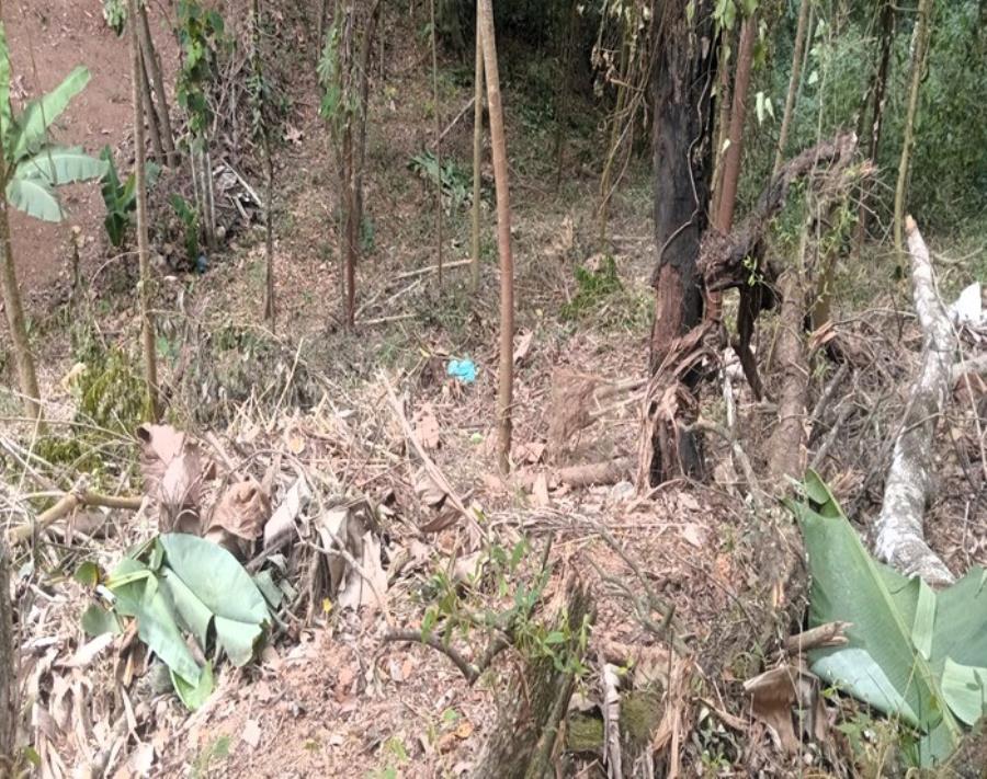 Terreno - Pq. da Represa - Mairiporã - SP Terreno com 320 m² - E470 — foto 3