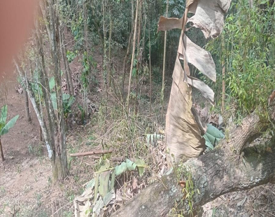 Terreno - Pq. da Represa - Mairiporã - SP Terreno com 320 m² - E470 — foto 4