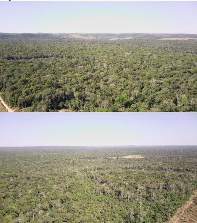 Área De Terras Com 1.004,1282 Ha, Denominada “fazenda Santo Antônio”, Situada No Município De Juína/MT — foto 4