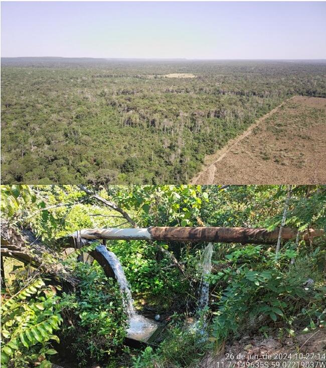 Área De Terras Com 1.004,1282 Ha, Denominada “fazenda Santo Antônio”, Situada No Município De Juína/MT — foto 5