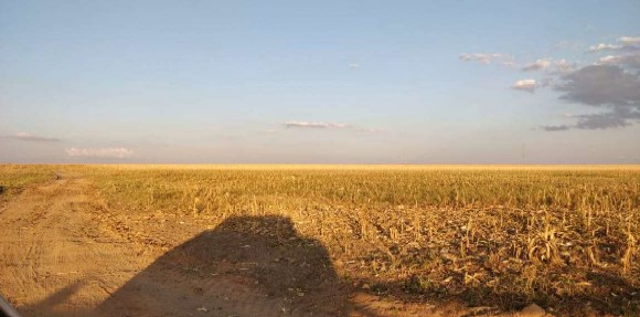 01 Imóvel Rural, Denominado Fazenda Recreio, Com Área De 414,2926ha, Localizada Dentro Dos Limites Da Gleba Juína Iii, No Município De Campos De Júlio/MT