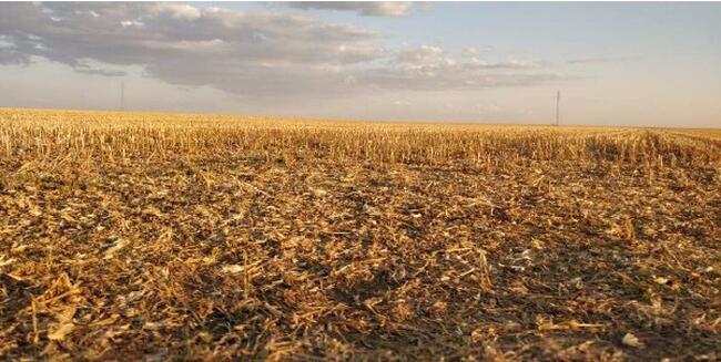 01 Imóvel Rural, Denominado Fazenda Recreio, Com Área De 414,2926ha, Localizada Dentro Dos Limites Da Gleba Juína Iii, No Município De Campos De Júlio/MT — foto 4