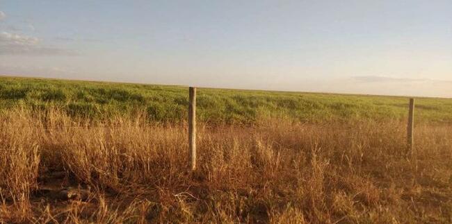 01 Imóvel Rural, Denominado Fazenda Recreio, Com Área De 414,2926ha, Localizada Dentro Dos Limites Da Gleba Juína Iii, No Município De Campos De Júlio/MT — foto 5