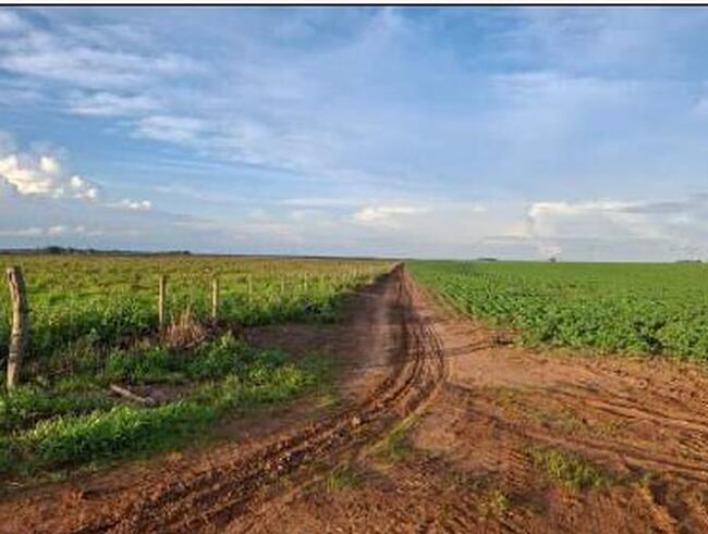 01 Imóvel Rural, Denominado Fazenda Recreio, Com Área De 414,2926ha, Localizada Dentro Dos Limites Da Gleba Juína Iii, No Município De Campos De Júlio/MT — foto 3