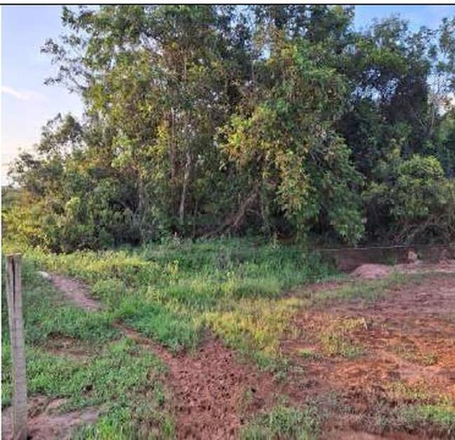 01 Imóvel Rural, Denominado Fazenda Recreio, Com Área De 414,2926ha, Localizada Dentro Dos Limites Da Gleba Juína Iii, No Município De Campos De Júlio/MT — foto 5