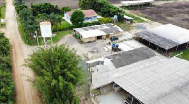 Imóvel C/ 3,5129 Alq. Em Palmeira/PR — foto 3