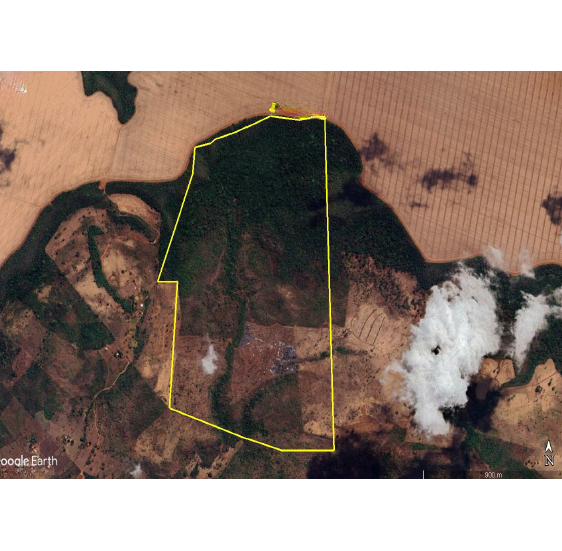 LOTE 7: Fazenda com 167,0221 ha - Zona Rural RIACHÃO MA — foto 2