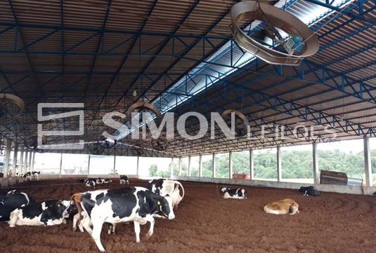 Gleba rural de terras de cultura, com 242.000 m², na Gleba Polvarinho, lote 6 da antiga medição da Fazenda São Domingos situado no Município de São Domingos/SC, INCRA: nº 815.276.006.483-5, com limite