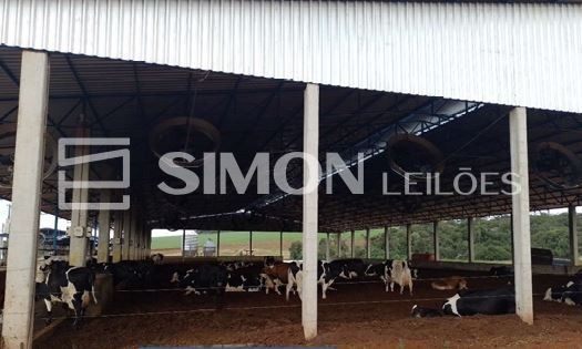 Gleba rural de terras de cultura, com 242.000 m², na Gleba Polvarinho, lote 6 da antiga medição da Fazenda São Domingos situado no Município de São Domingos/SC, INCRA: nº 815.276.006.483-5, com limite — foto 2