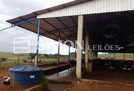 Gleba rural de terras de cultura, com 242.000 m², na Gleba Polvarinho, lote 6 da antiga medição da Fazenda São Domingos situado no Município de São Domingos/SC, INCRA: nº 815.276.006.483-5, com limite — foto 4