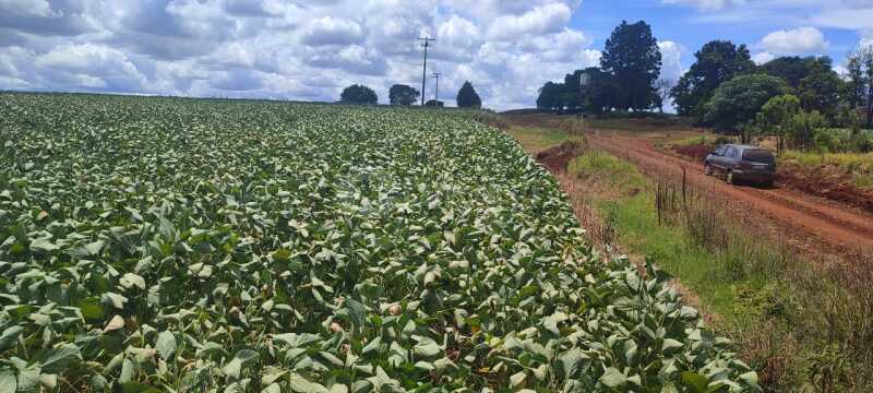 LOTE 001 4,5750has em Rincão Nossa Senhora Aparecida, Giruá/RS — foto 3