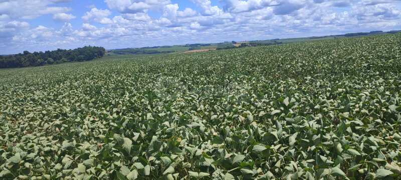 LOTE 001 4,5750has em Rincão Nossa Senhora Aparecida, Giruá/RS — foto 5