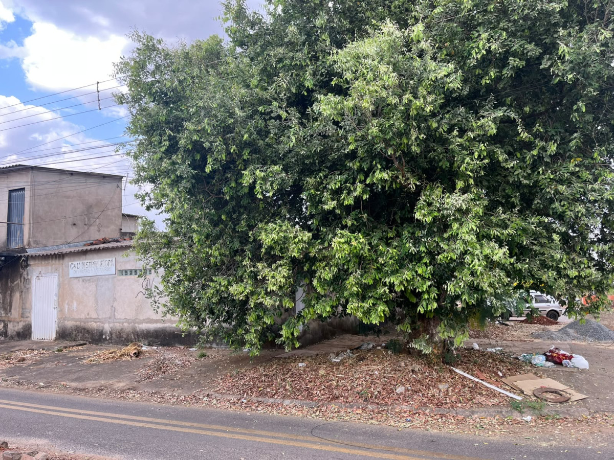 Imóvel no Parque Atheneu - Goiânia/GO — foto 3