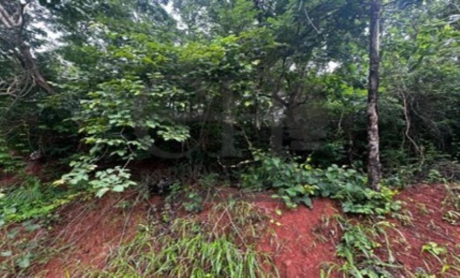 Lote Urbano (Diamantino) - 652m² Leilão Condicional - Sicredi — foto 2
