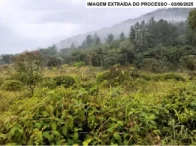 Fazenda com 188,3 hectares - Guaraqueçaba/PR — foto 3