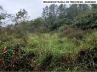 Fazenda com 188,3 hectares - Guaraqueçaba/PR — foto 4