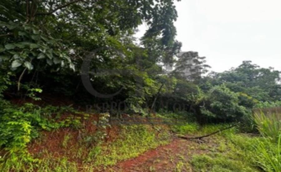 Lote Urbano (Diamantino) - 634m² Leilão Condicional - Mato Grosso — foto 2