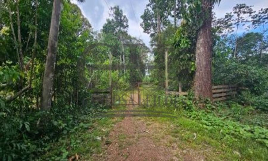 Área com 151.177m² (Abaetetuba) Leilão Condicional - Pará