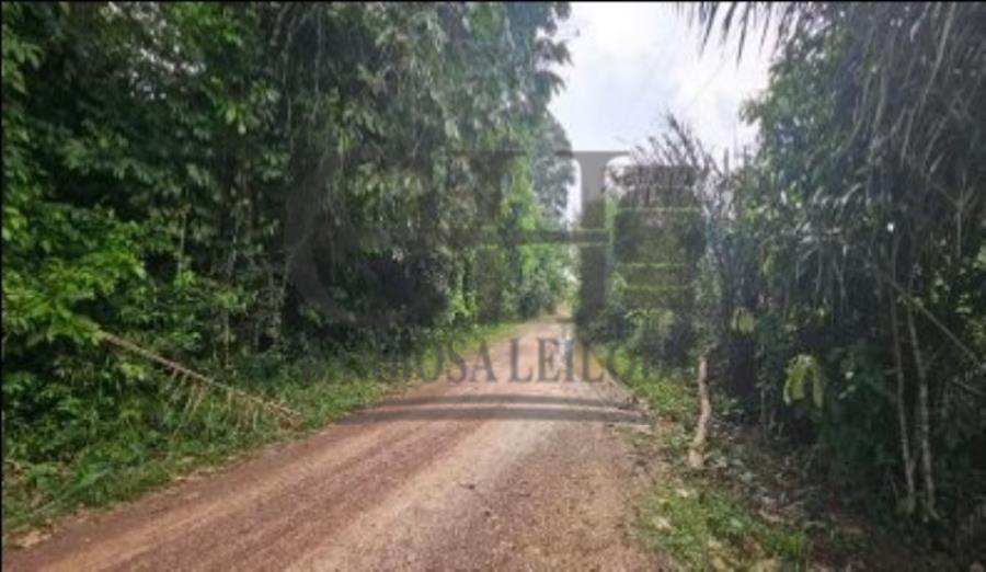 Área com 151.177m² (Abaetetuba) Leilão Condicional - Pará — foto 2