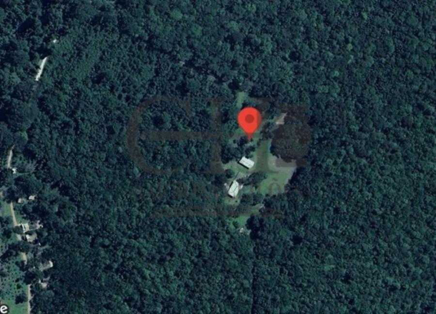 Área com 151.177m² (Abaetetuba) Leilão Condicional - Pará — foto 3